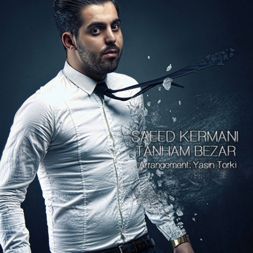 آهنگ جدید و فوق العاده زیبا از سعید کرمانی به نام تنهام بذار